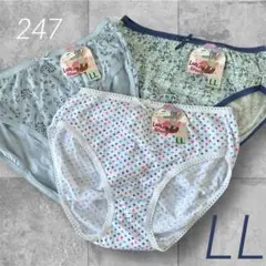 247 コットンショーツ　パンティ　スキャンティ　まとめ売り　3枚　大きいサイズ