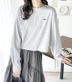 【classicalelf】tシャツ ひんやり接触冷感 前後2way短丈刺繍 S