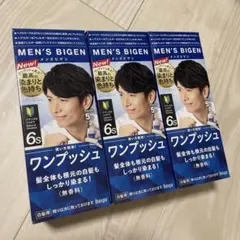 メンズビゲン ワンプッシュ 6s ナチュラルシャドウ 3個セット 白髪染め 男性のサムネイル