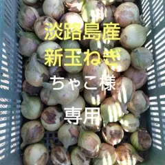 淡路島産新玉ねぎ★ちゃこ様専用★