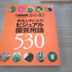 メルカリ市！別冊NHK趣味の園芸 栽培上手になる！ビジュアル園芸用語530