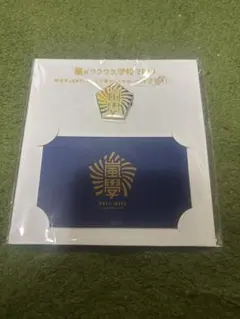 嵐のワクワク学校2019 ピンバッジ