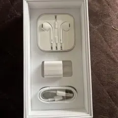 Apple 純正品充電器セット