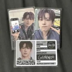 ALD1 ALPHA DRIVE ONE トレカ ゴヌ
