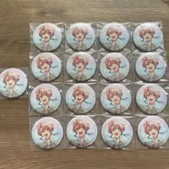 アイナナ 和泉三月 LINK RING WIND 缶バッジ17個まとめ売り