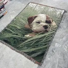 アメリカブルドッグクラブ　犬　マルチカバー　ソファーカバー　ラグ　170x126 犬 フレンチブルドッグ マルチカバー ソファカバー ラグ136x132 - メルカリ