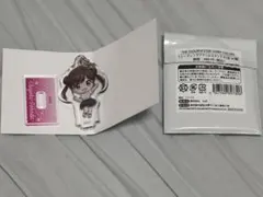 園田智代子 アクリルスタンドのサムネイル