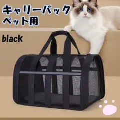 Item thumbnail for item 4d710b6e-2219-4ad3-a6a2-16cecbc2565c