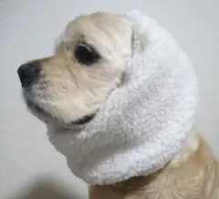アメリカンコッカースパニエル　犬用スヌード　ペットスヌード　お散歩耳カバー