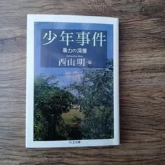 少年事件 暴力の深層/西山明