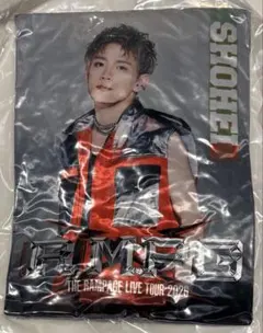 THE RAMPAGE 浦川翔平 クッション 新品未開封