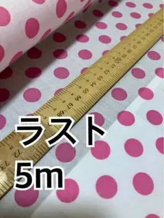 5m ピンク大　ドット　TCブロード ラスト　ハギレ　生地