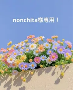 nonchita様 リクエスト 2点 まとめ商品