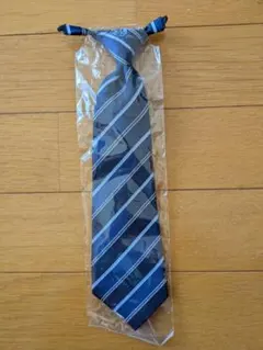 Item thumbnail for item 40621b9b-a070-4e6f-98bd-0787aa3524a2