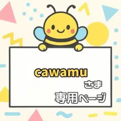 cawamu様 リクエスト 2点 まとめ商品
