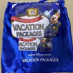 東京ディズニーリゾート バケーションパッケージ タオル2枚
