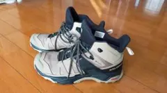 Item thumbnail for item 11ee1281-3190-4c1d-9360-55bef44b8816