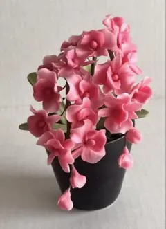 Item thumbnail for item f5637144-e88b-45a2-9bb4-b3c9c6bf8dee