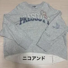 裏起毛 レディース