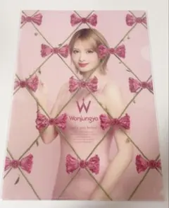 ウォンジョンヨ モモ クリアファイル