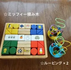 知育玩具セット／ミッフィー積み木 ミニルーピングセットのサムネイル