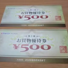 ヤマダ電機　株主様お買物優待券　1000円分
