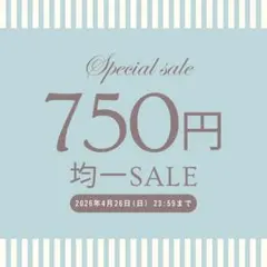 ヘアクリップ ヘアピン 4点セット ベビー キッズ SALE特設ページ