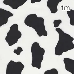 ラスト 1m ホルスタイン柄 ツイル