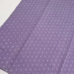 Item thumbnail for item 43a0b460-821e-4295-996b-96179d49c679