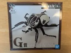 一番くじ昆虫世界の昆虫博物館 ゴライアスクワドリマキュラトゥス