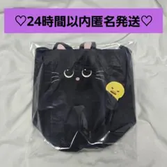 FANLIGHTバッグ トニャンドク ウォンビン RIIZE ペンライトケース