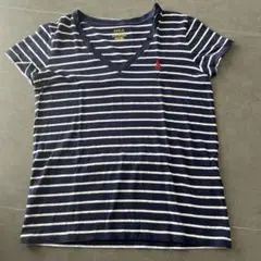 POLO ストライプ Vネック Tシャツ