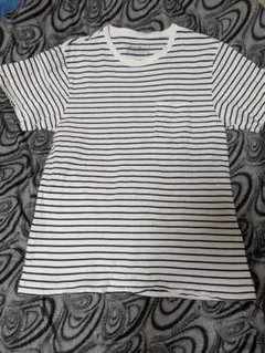 Eddie Bauer ストライプ Tシャツ Sサイズ