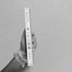 言いかえ図鑑 大野萌子