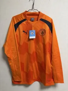 Item thumbnail for item 78c1e7ef-c498-4d00-a568-f2ff5466972e