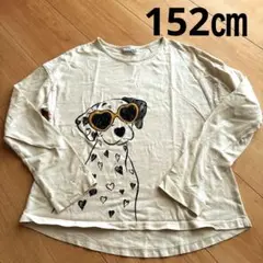 mayoral 犬イラスト 長袖カットソー 152cm