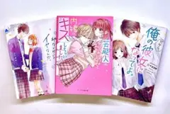 noichigo恋愛小説 3冊セット