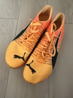 2025年最新】エヴォスピード ニトロの人気アイテム - メルカリ