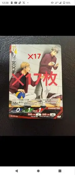 宮兄弟カード 17枚セット