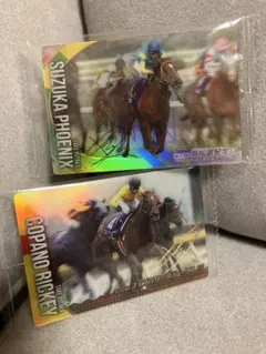 サラブレッドホースコレクション　サイン入りカード2枚セット