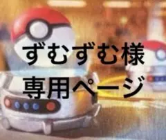 ずむずむ様　専用ページ　まとめ売り