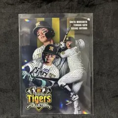 Item thumbnail for item ef8bc40f-8f24-4af9-ad52-46266ab42104