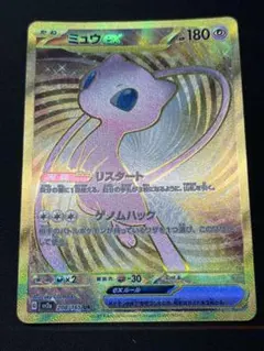 ブランドン様 リクエスト 2点 まとめ商品