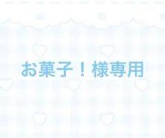 専用ページ