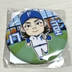 ファイターズ ガチャ 缶バッジ 伊藤大海