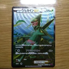 2026年最新】ジュカインex srの人気アイテム - メルカリ