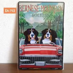 【A-75】ブリキ看板　バーニーズマウンテン　犬グッズ　犬雑貨　お洒落インテリア