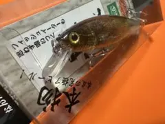 Item thumbnail for item 8b3dcd51-1cc0-4dda-a60f-b26476082b45