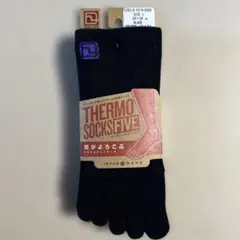 Item thumbnail for item b9adbc5d-31d9-43e3-b4ec-07562c53b957