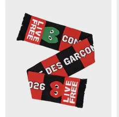 PLAY COMME des GARCONS プレイコムデギャルソン
